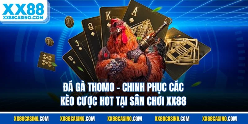 Đá Gà Thomo - Chinh Phục Các Kèo Cược Hot Tại Sân Chơi XX88