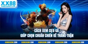 Cách Xem Cựa Gà Giúp Chọn Chuẩn Chiến Kê Thắng Trận